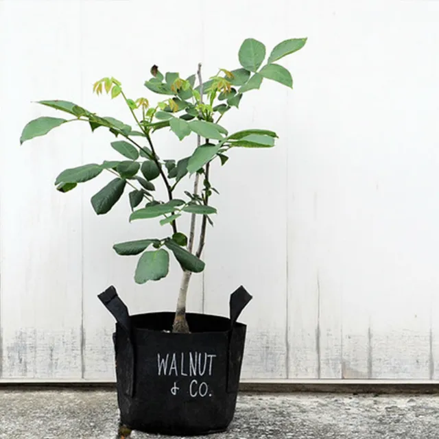 【Root Pouch】美植袋(W43cm H38cm/56L)