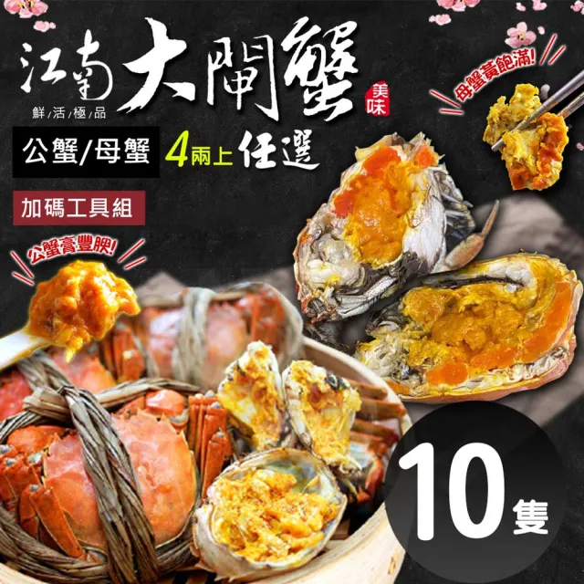 【築地一番鮮】(公母任選)4兩上大閘蟹 10隻組/贈工具組/江南大閘蟹