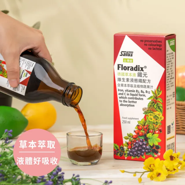 【歐洲屋】德國草本液-Floradix鐵元1入組(共250ml-植物液態鐵)