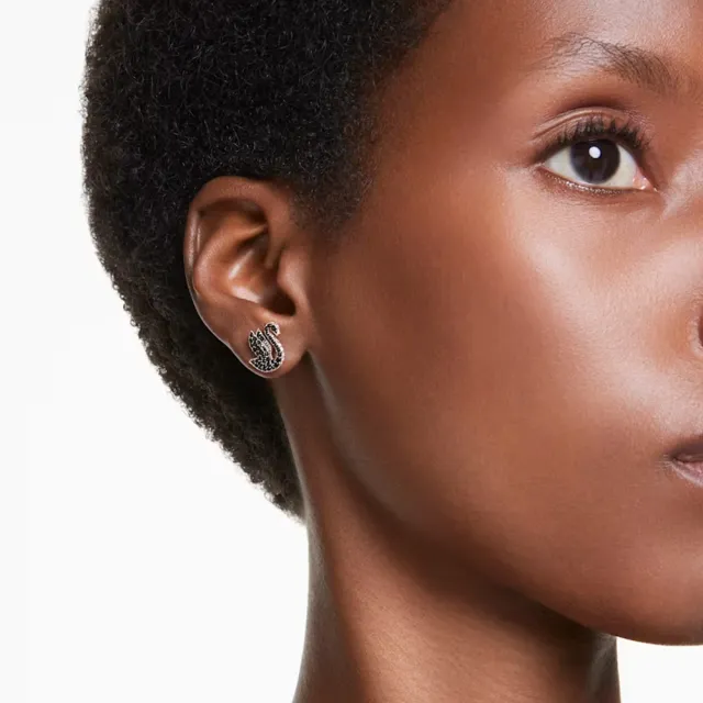 【SWAROVSKI 施華洛世奇】Swarovski Swan 耳釘 天鵝 黑色 鍍玫瑰金色調