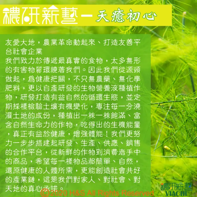 【穠研薪藝】台東長濱天癒五生胚芽米X1包組(3公斤/包)