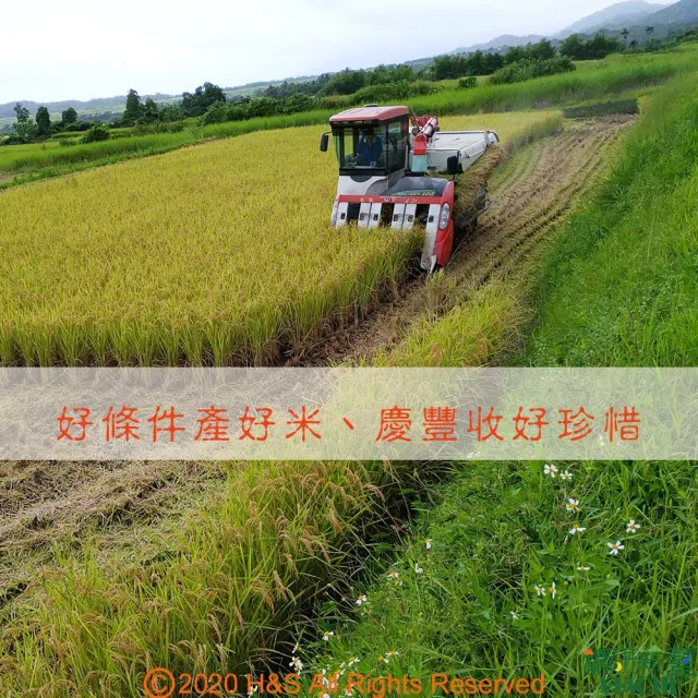 【穠研薪藝】台東長濱天癒五生白米/胚芽米任選X2包組(3公斤/包)
