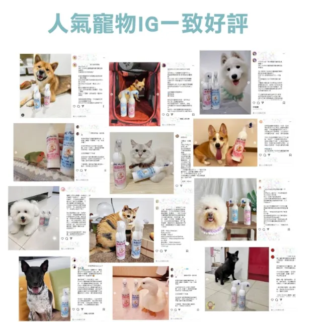 【ARC-FLASH】光觸媒寵物織品洗淨添加劑3入(有效抑制細菌、強效除臭)