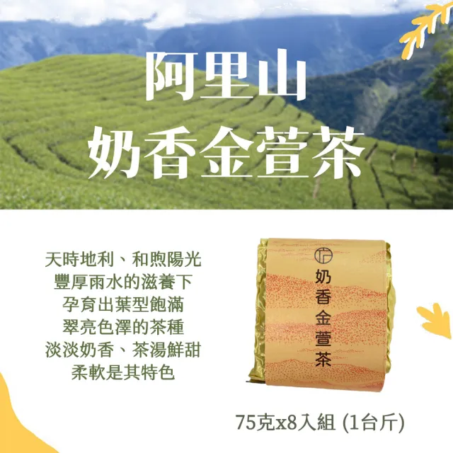 【Funbodhi 方菩提】奶香金萱茶/烏龍茶/高山茶75gx8包(共1斤;冷泡茶/阿里山/春茶)