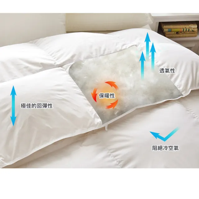 【Great Living 格蕾寢飾】La Belle 法國天然水鳥羽毛絨暖冬被/棉被1.3KG(單人 150x210cm)