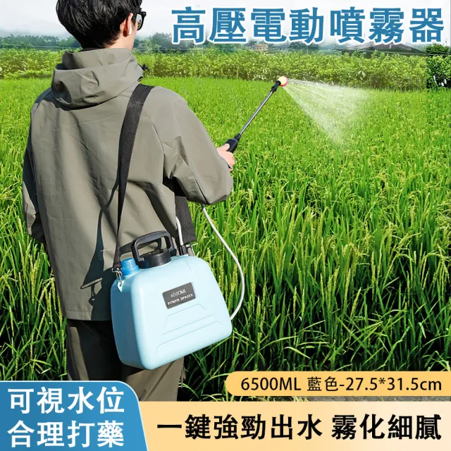 ZHIPU 芝浦】6.5L高壓電動噴霧器農用打藥機農藥噴壺噴霧機噴水壺澆花器