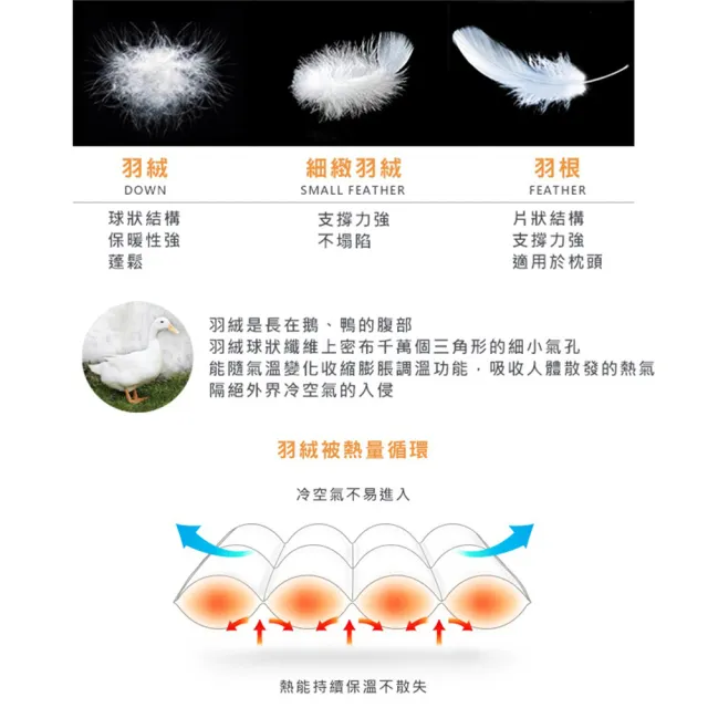 【Great Living 格蕾寢飾】La Belle 法國天然水鳥羽毛絨暖冬被/棉被2KG(特大 240x210cm)