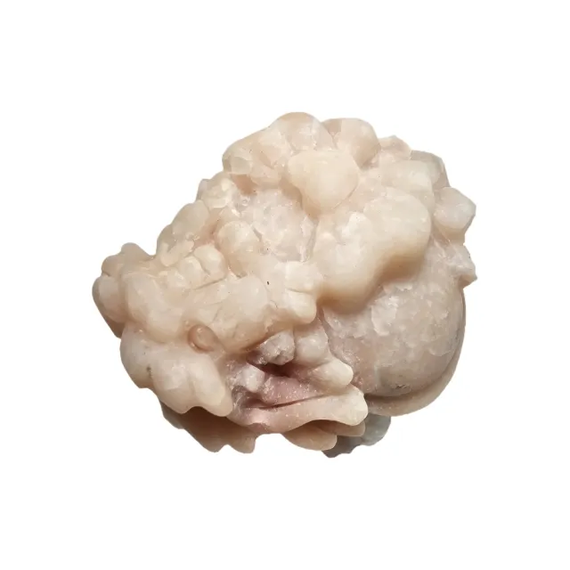 【藏古祥館】蝴蝶結龍龜 XA46(龍龜)