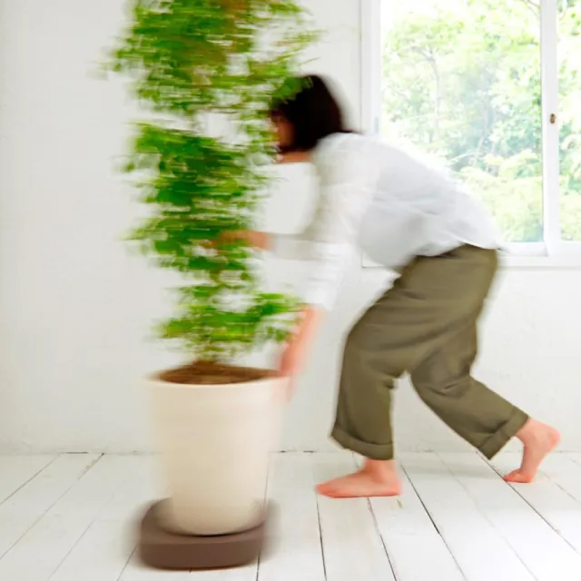【HOME WORKING】TIDY可移動盆栽托盤-小(重物移動/附滾輪/質感美型)