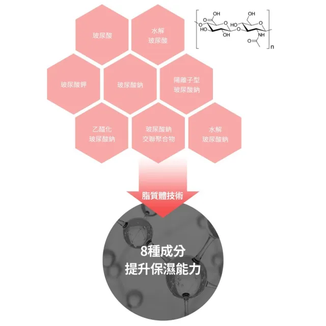 【LAVIEN 樂薇昂】舒敏緊緻康普精萃面膜_一盒5入(鎮靜舒緩/8種玻尿酸/純水凝膠)