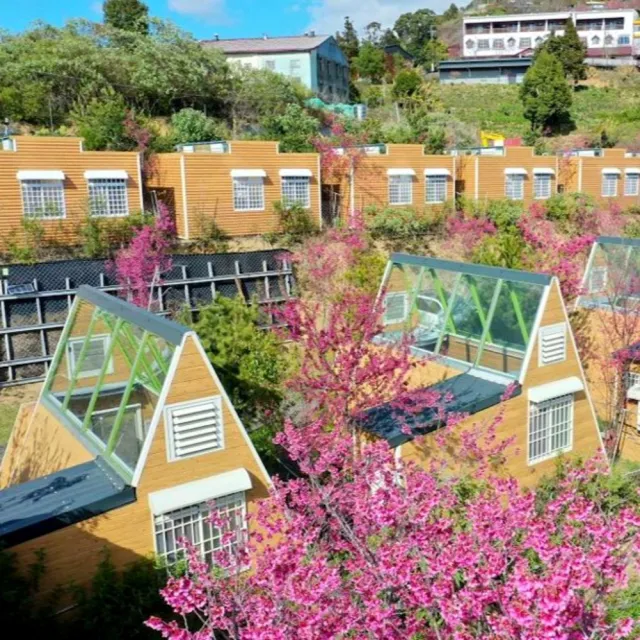 南投清境基路伯營區｜星空玻璃三角露營屋-2大送1位12歲以下免費住(加大雙人床.獨立衛浴)