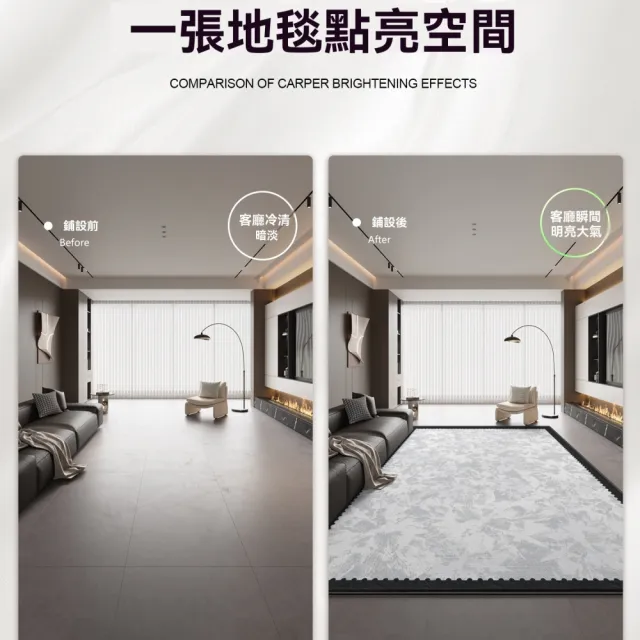 【巨匠】地毯 沙發茶幾地墊 客廳高級地毯 200x300cm地毯 臥室床邊墊 免洗可擦防水地墊(200x300cm地毯地墊)