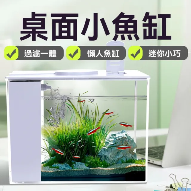 【星治】桌面魚缸 一體式側濾魚缸 制氧側濾一體免換水魚缸 預計10個工作天送達(長15*寬11*高13公分)