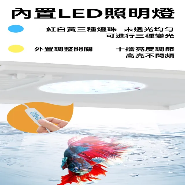 【星治】桌面魚缸 一體式側濾魚缸 制氧側濾一體免換水魚缸 預計10個工作天送達(升級款 長20*寬15*高15公分)