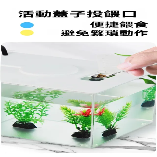 【星治】桌面魚缸 一體式側濾魚缸 制氧側濾一體免換水魚缸 預計10個工作天送達(升級款 長20*寬15*高15公分)
