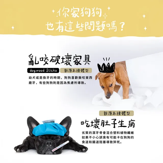 【outward hound】森林史迪克 寵物玩具 2件組 M 中型犬適用 原Petstages 潔牙 狗玩具