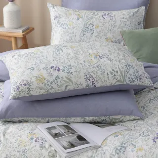 【HongYew 鴻宇】台灣製100%精梳棉 枕套2入(多款)