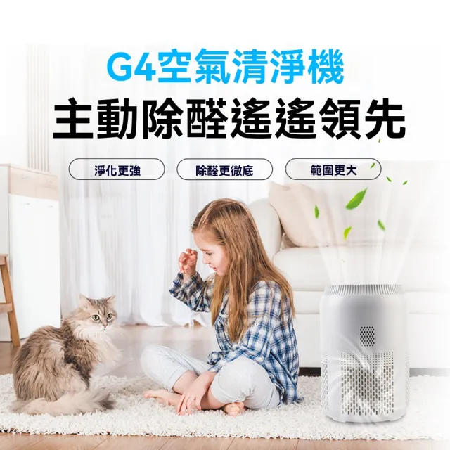 【Felsted 菲仕德】臭氧機 60g臭氧發生器 臭氧消毒機 空氣淨化器(臭氧空氣淨化 新房裝修除甲醛 去異味)