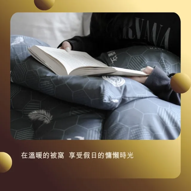 【JENNY SILK 蓁妮絲生活館】水鳥羽毛石墨烯/天絲羊毛石墨烯 台灣製暖被 任選(雙人180X210CM)