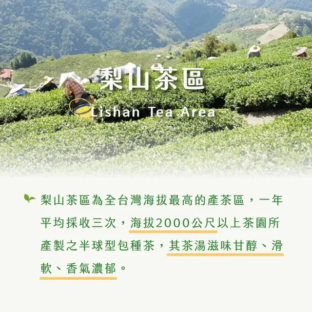 【xiao de tea 茶曉得】梨山比賽級冷韻烏龍茶葉75gx8包(1斤)