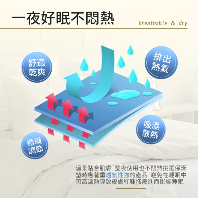 【寢室安居】護理級 台灣製造 防潑水防塵防汙床包式保潔墊(單人.雙人.加大.全尺寸均價)
