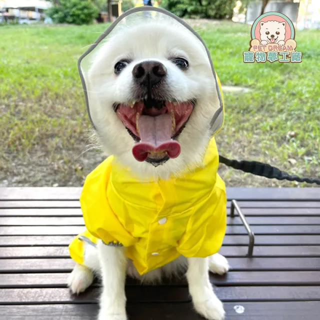 【2026】狗狗雨衣推薦ptt》10款高評價人氣品牌排行榜 | BALIMAN情報局