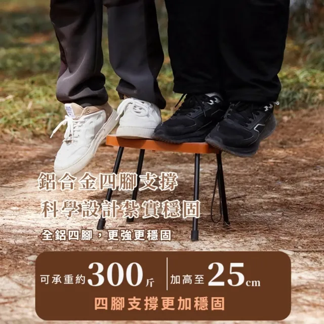 露營隨身摺疊椅凳(登山 板凳 野營 輕量椅 折疊凳 釣魚椅 露營椅 排隊椅 演唱會椅)