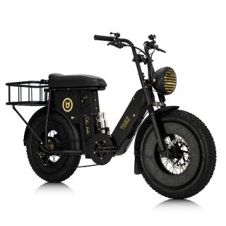 【SEic】金馬號聯名限定車款(電輔車)