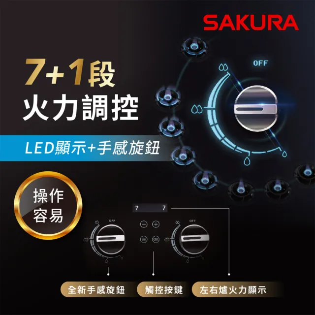 【SAKURA 櫻花】智能雙炫火精控爐G2929G_左/右乾燒(原廠安裝-官方直營)