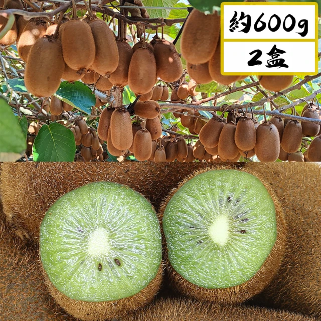 【愛蜜果】台灣梨山綠色奇異果X2盒(6顆/約600克/盒)