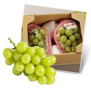 【RealShop】日本山梨/長野空運大串麝香葡萄1kg(約500g*2房裝 真食材本舖)