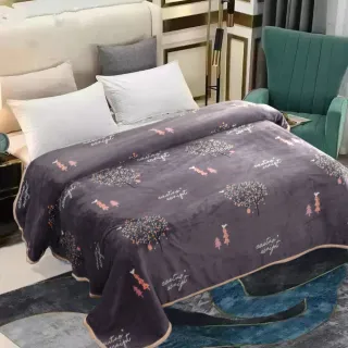 【寢室安居】買一送一 法蘭絨親膚保暖毯(懶人毯.沙發毯.午覺毯)