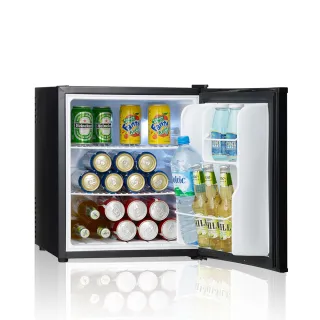 【SAMPO 聲寶】48公升無壓縮機電子式雙核心冷藏箱(KR-UB48F)