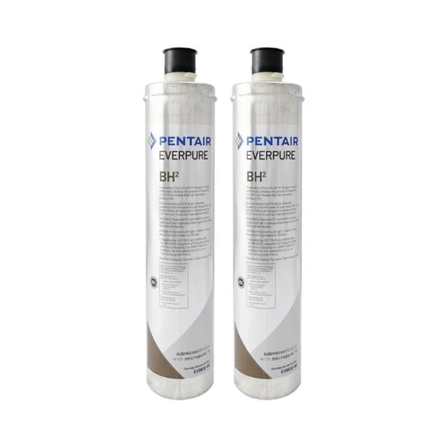 【PENTAIR濱特爾】EVERPURE BH2 美國原廠進口 平行輸入(BH2*2入裝 濾芯 濾心)