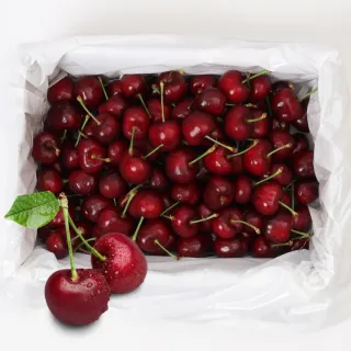 【RealShop】智利空運鮮採XJ/約9.5R櫻桃禮盒600g±10%(智利櫻桃 真食材本舖)