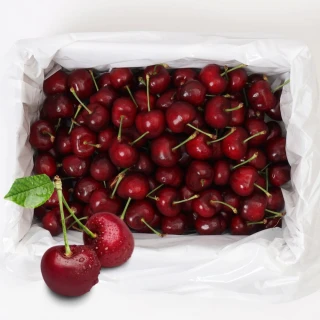 【RealShop】智利空運鮮採XJ/9.5R-10R櫻桃禮盒1.5kg±10%(2-3JD智利櫻桃 真食材本舖)