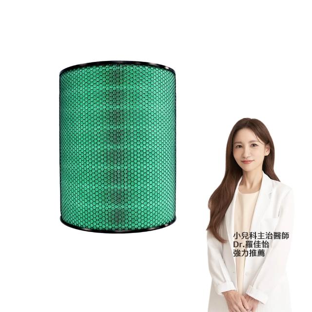 【Have Green Days 綠綠好日】適用 Dyson BP03 BP04 清淨機 HEPA抗菌濾芯(含可水洗寵物前置濾網)