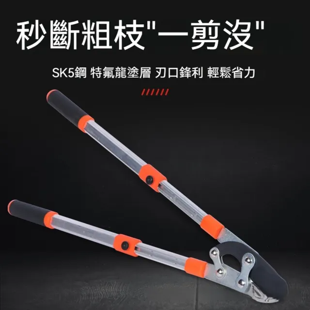 鯊魚口粗枝剪 果樹修枝剪 粗枝修剪神器 園林果樹剪刀(粗枝剪、園藝剪、果樹剪)