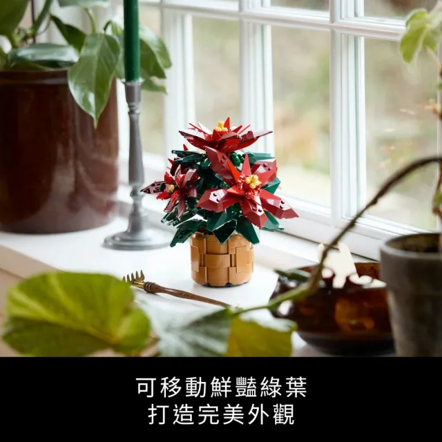 【LEGO 樂高】Botanicals 10370 聖誕紅(禮物 交換禮物 聖誕禮物 居家擺飾 裝飾)