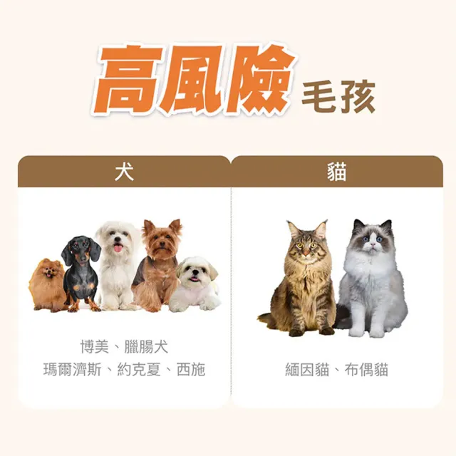 【HOMI 毛與家】心樂活 寵物心血管保健粉-30包x3盒(貓咪保健 老狗 老年貓狗 心臟保健 牛磺酸 Q10 犬貓適用)