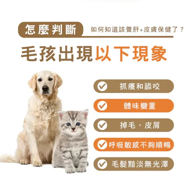 【HOMI 毛與家】肌優股 皮毛保健粉-30包x3盒(寵物益生菌 皮膚保健 狗益生菌 貓咪益生菌 貓保健品 犬貓適用)