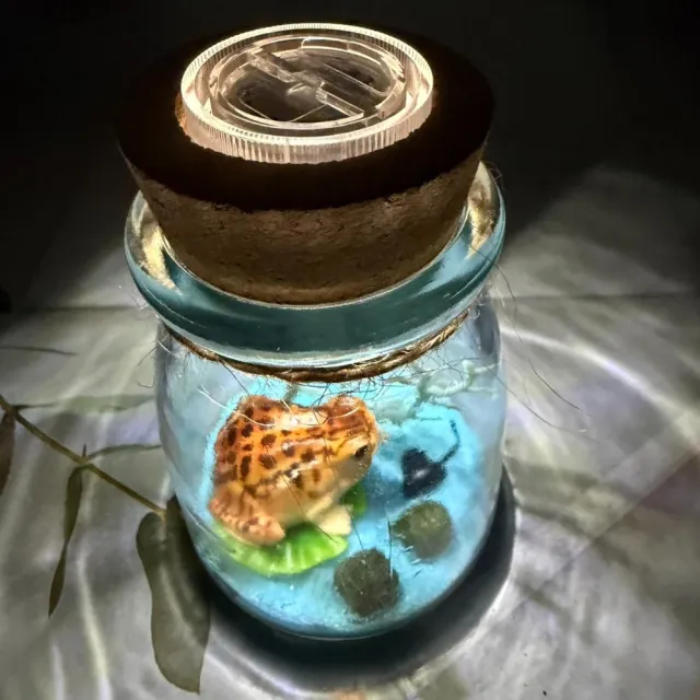 【A-ONE 匯旺】黃色大青蛙 綠藻球生態瓶 含2顆綠藻 白光LED 150ml布丁杯 DIY水草盆栽