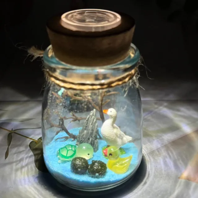 【A-ONE 匯旺】站立鴨子 生態瓶綠藻球 含2顆綠藻 白光LED 150ml布丁杯 DIY微景觀小花園 桌面裝飾