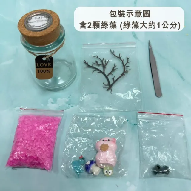 【A-ONE 匯旺】太空火箭 綠藻球微景觀生態瓶 含2顆綠藻 白光LED 150ml布丁杯 DIY療癒水草植物