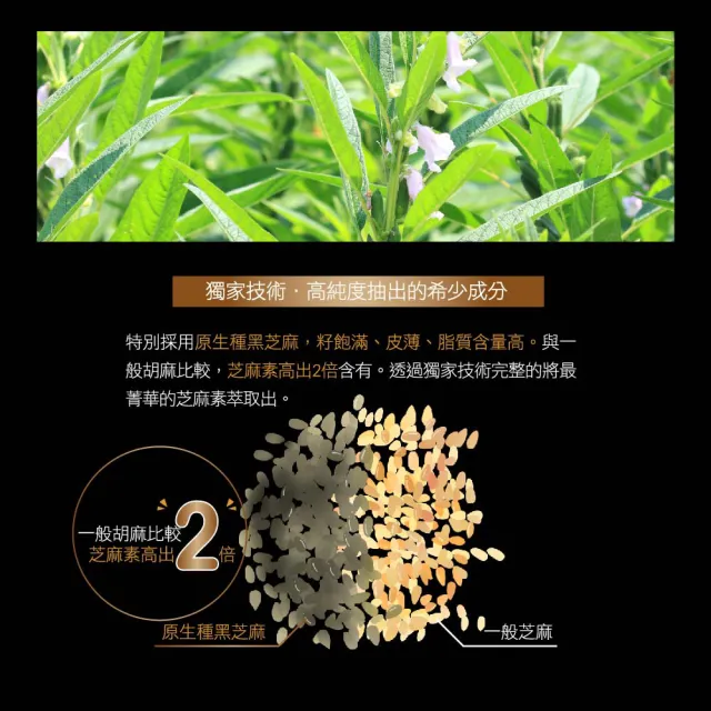 【ITOH 井藤】一品芝麻冠膠囊食品×1袋(60粒/袋 黑芝麻 幫助入睡好氣色 豐富鈣質、蛋白質、胺基酸)