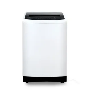 【SAMPO 聲寶】58H快配momo獨家★13KG 變頻 金乾淨 直立式洗衣機(WM-MD13C)