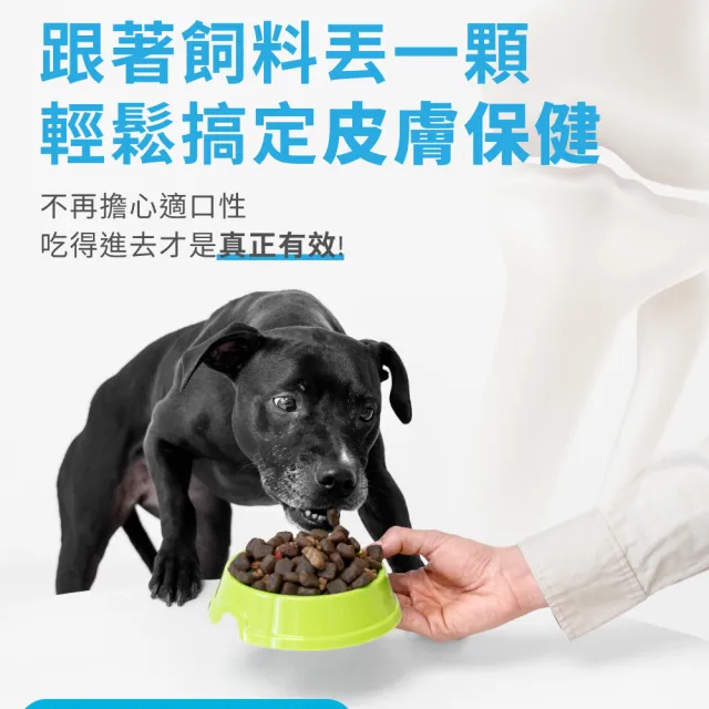 【OurPet 奧沛】犬用膚沛錠x5瓶(30顆、狗皮膚保健食品 寵物皮膚保養 玻尿酸 神經醯胺 乳酸菌 酵母鋅)