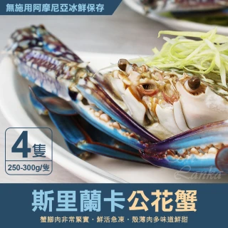 【優鮮配】XL｜斯里蘭卡｜公花蟹250-300g ｜4隻(250-300g/隻)