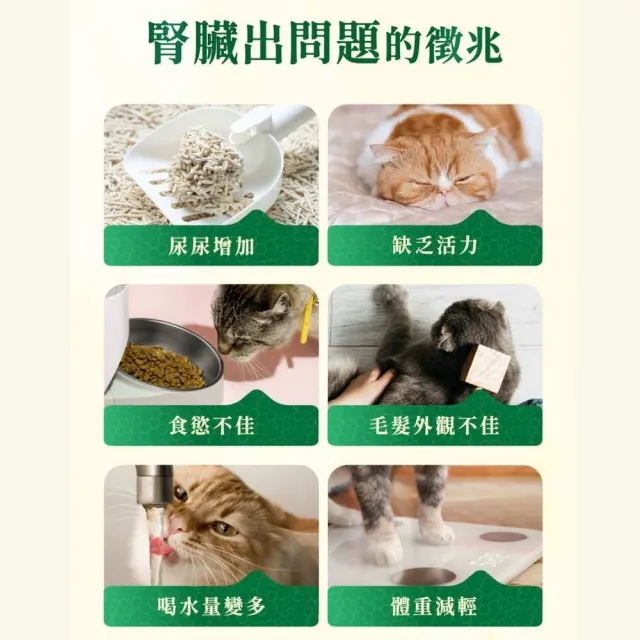 【Jadever】護腎超導精華50ml(犬貓用精氨酸/寵物保健/腎臟保健/貓狗腎臟保健滴劑/舌下吸收)