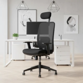 【Backbone】Beaver 河狸人體工學椅(全泡棉萬能椅/電腦椅/辦公椅)